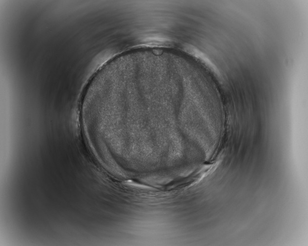 X0000094341362200711301240