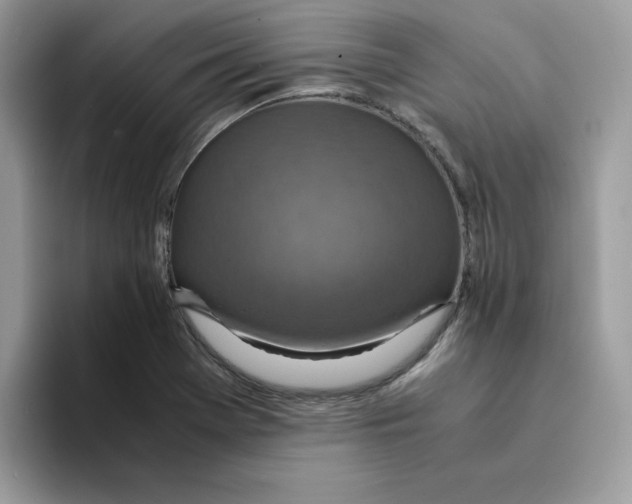 X0000094341369200711301240