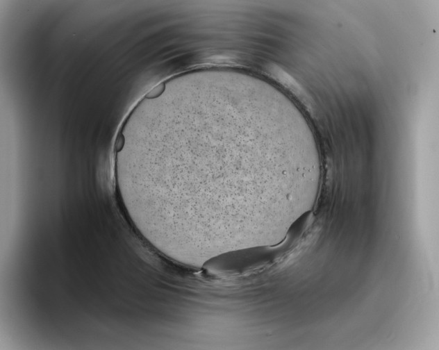 X0000094341370200711301240