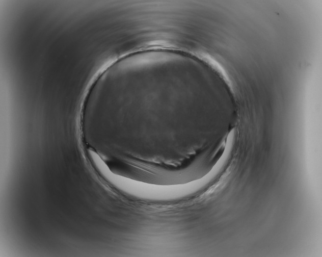 X0000094341373200711301240