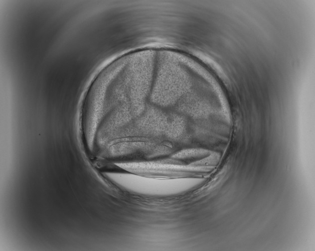 X0000094341375200711301240