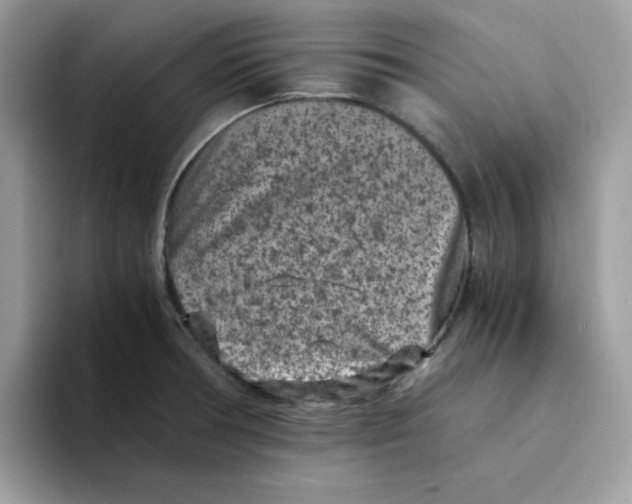 X0000094341378200711301240