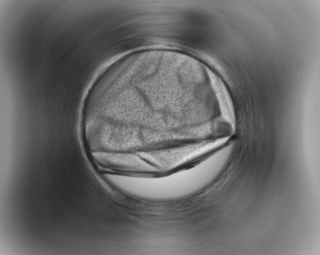 X0000094341379200711301240