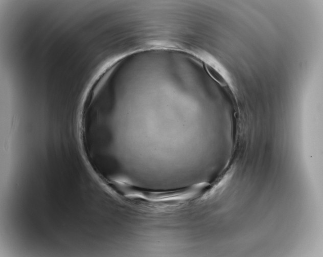 X0000094341381200711301240