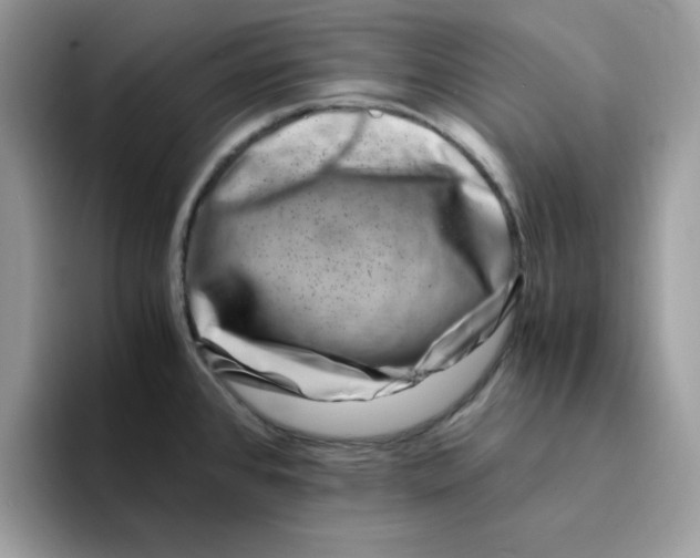 X0000094341384200711301240