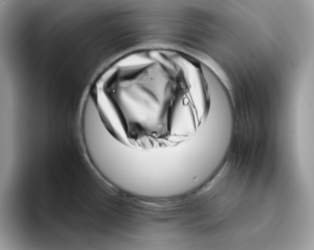 X0000094341388200711301240