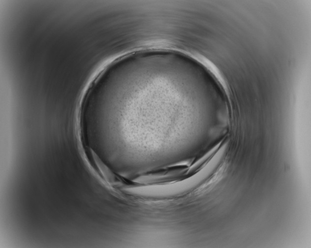 X0000094341389200711301240