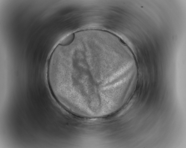 X0000094341390200711301240