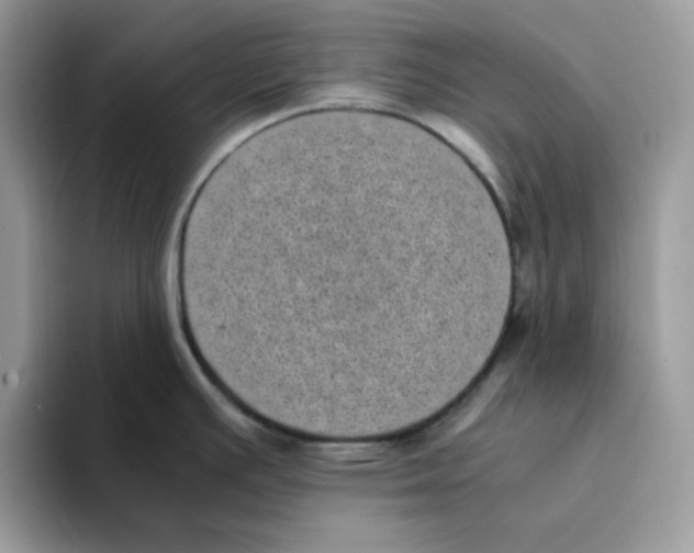 X0000094341391200711301240