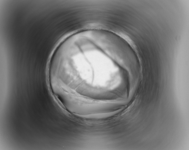 X0000094341392200711301240