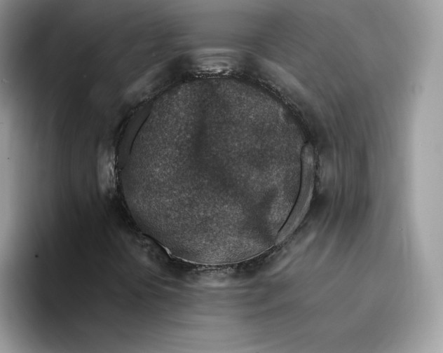 X0000094341394200711301239