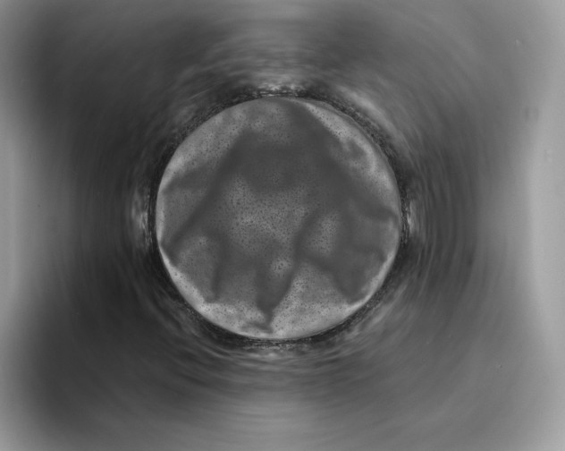 X0000094341396200711301239