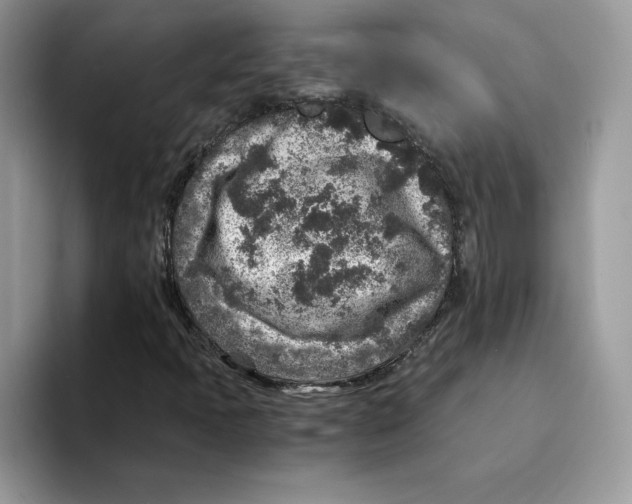 X0000094341397200711301239