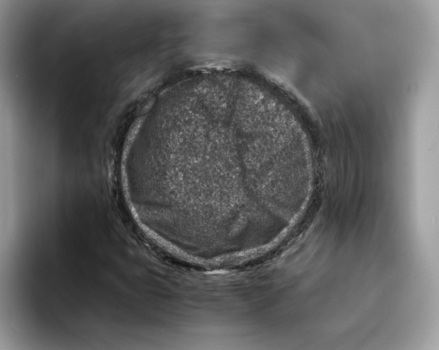 X0000094341399200711301239