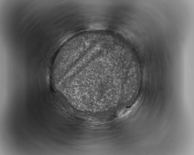 X0000094341401200711301239