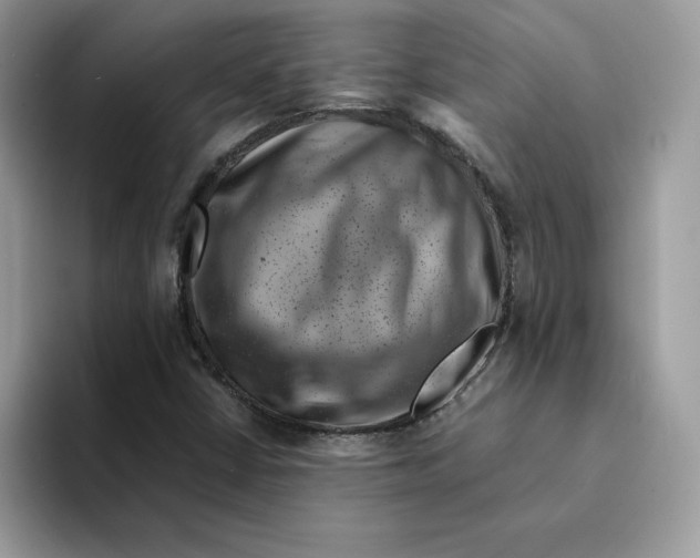 X0000094341402200711301239