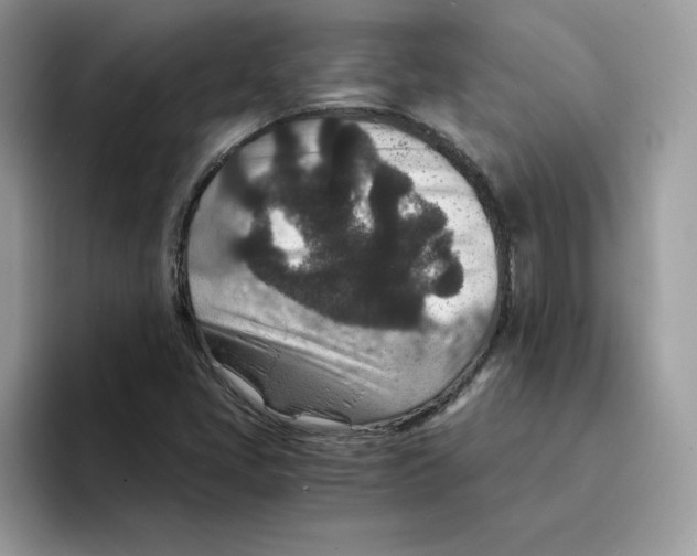 X0000094341405200711301239