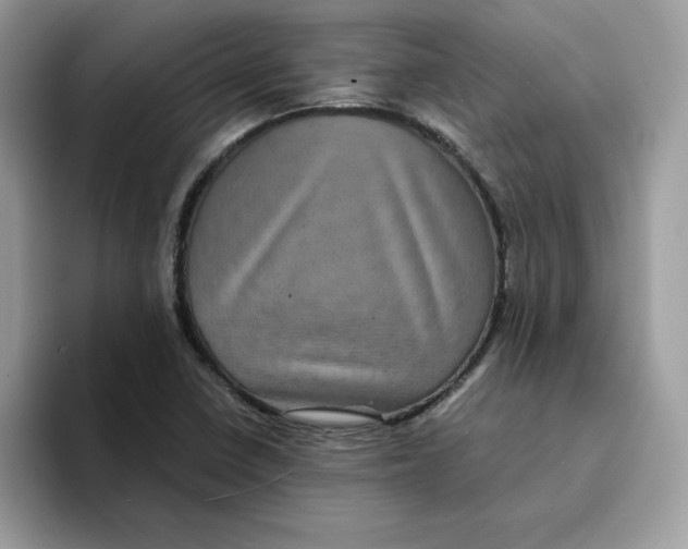 X0000094341410200711301239