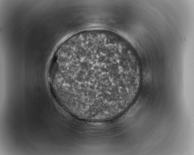 X0000094341413200711301239