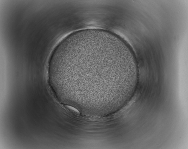 X0000094341415200711301239