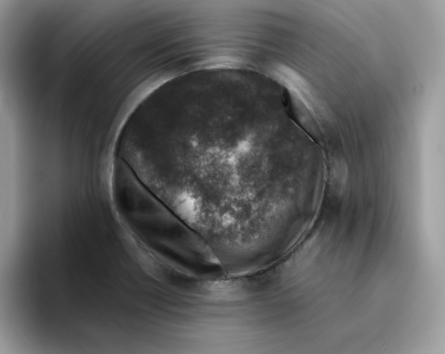 X0000094341418200711301239