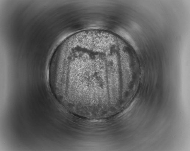 X0000094341419200711301239