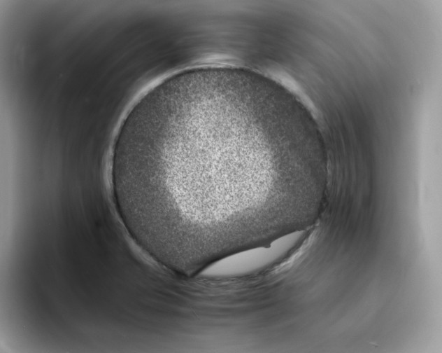 X0000094341421200711301239