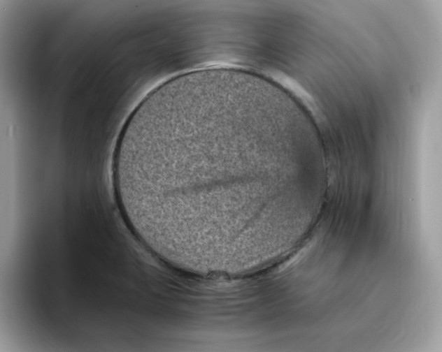 X0000094341423200711301239