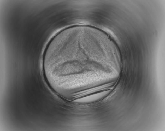 X0000094341424200711301239