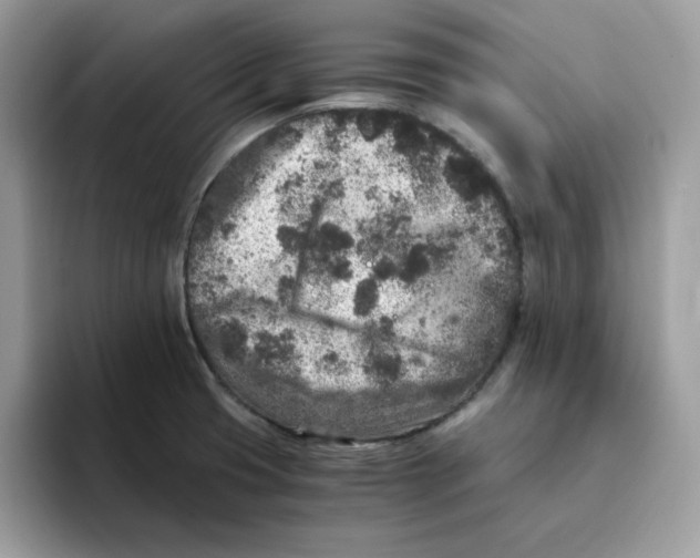 X0000094341425200711301239