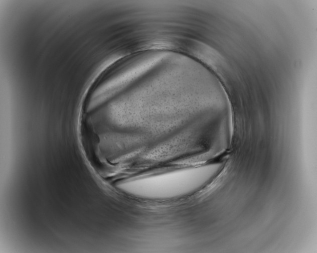 X0000094341426200711301239