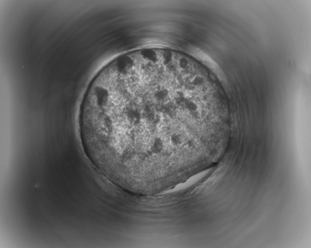 X0000094341427200711301239