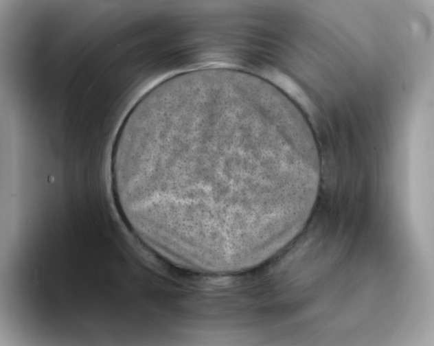 X0000094341431200711301240