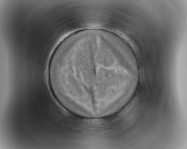 X0000094341432200711301240