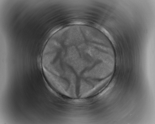 X0000094341433200711301240