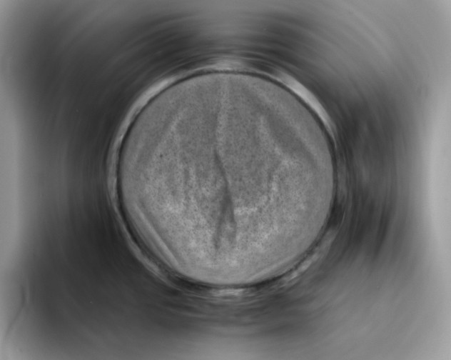 X0000094341437200711301240