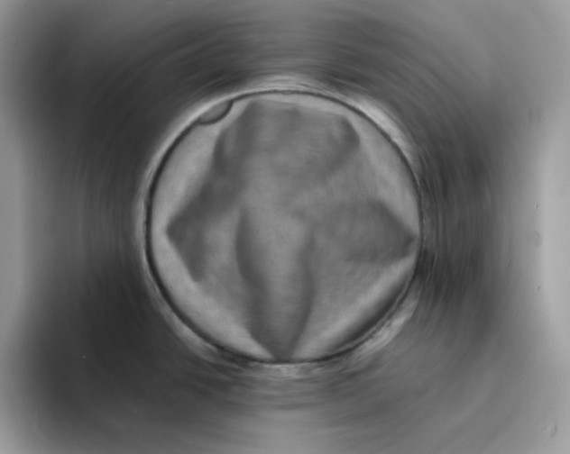 X0000094341438200711301240