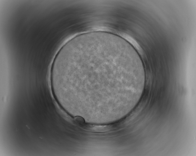 X0000094341439200711301240