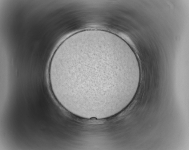 X0000094341440200711301240