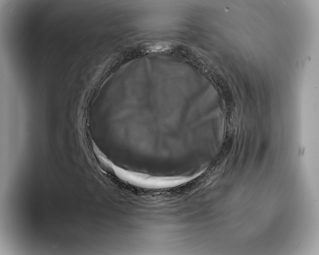 X0000094341441200711301239