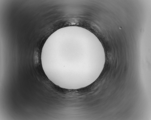 X0000094341442200711301239