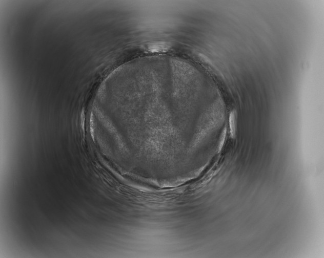 X0000094341443200711301239