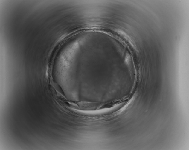 X0000094341449200711301239