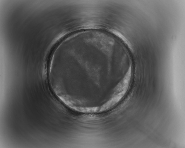 X0000094341450200711301239