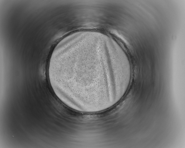 X0000094341451200711301239