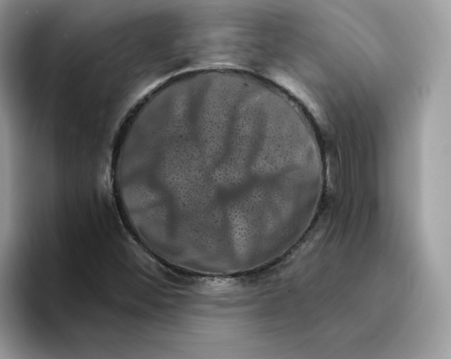 X0000094341452200711301239