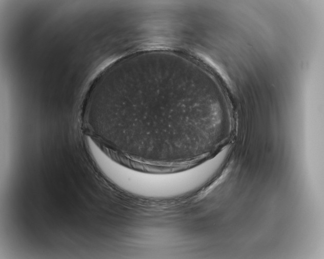 X0000094341453200711301239