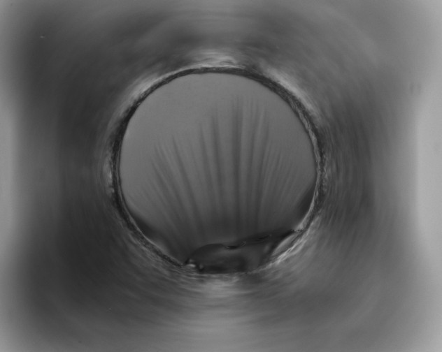 X0000094341455200711301239