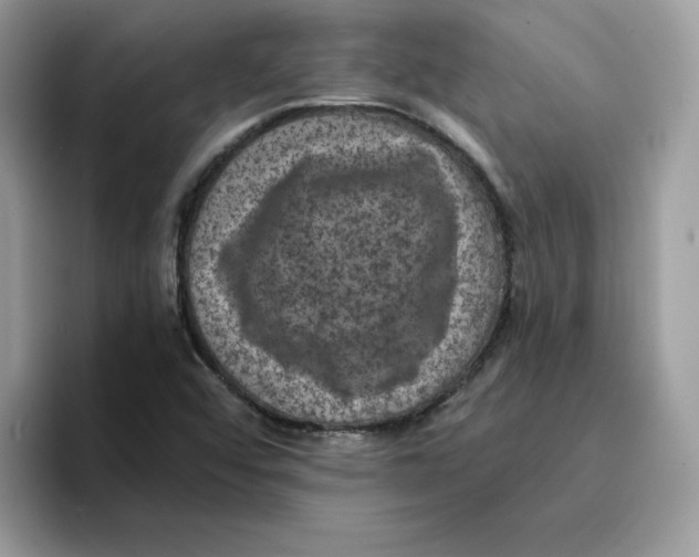 X0000094341456200711301239