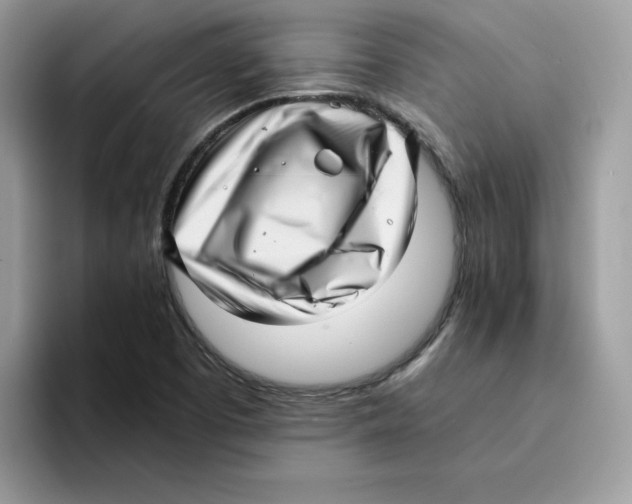 X0000094341457200711301239